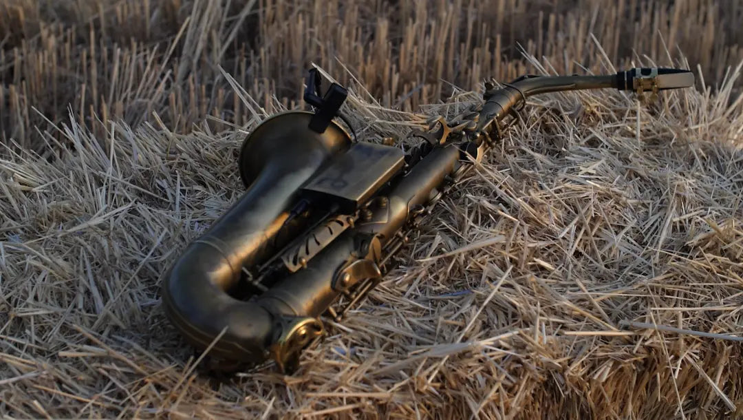 Saxophone équipé grâce au système d'accroche Rack-B dans un champs de paille